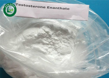 Lean Muscles Gain Injectable Male Hormone Testosterone Enanthate CAS 315-37-7